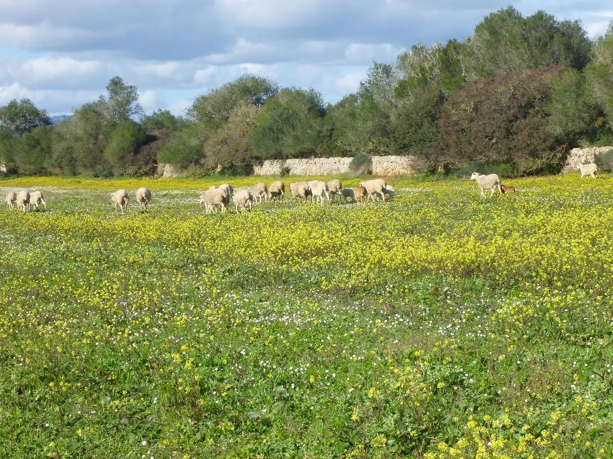 Country house Agroturisme Son Llado Campos